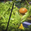 IMG_2902-8 (Copy).JPG