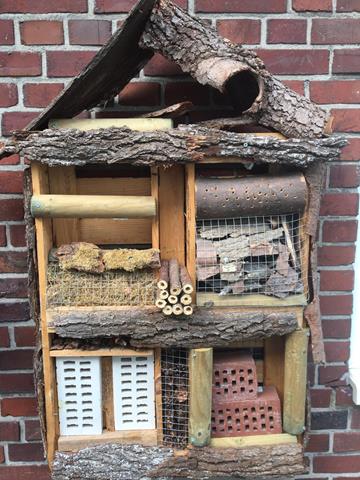 IMG-20190220-WA0010 (Copy).jpg